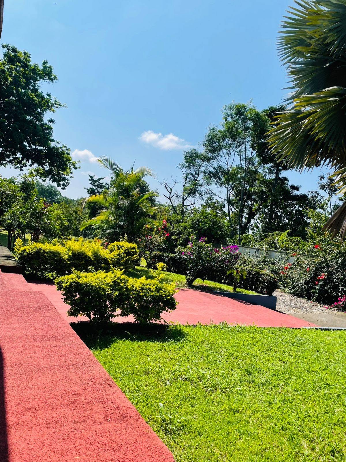 Jardines de La Palapa
