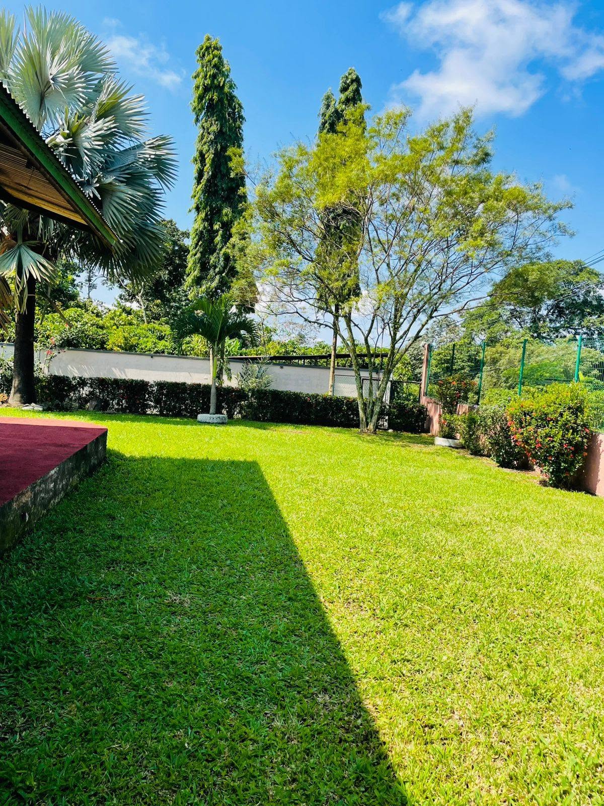 Área verde del restaurante